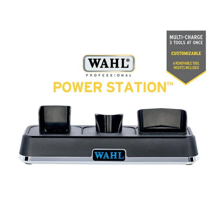Wahl Power Station 50381