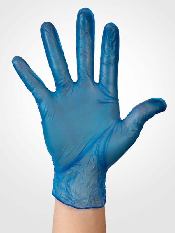 Aurelia Delight Gloves Blue 100pk L