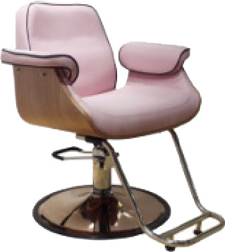 GD Styling Chair GD-2843